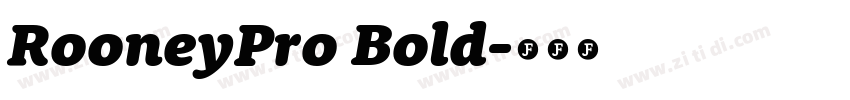 RooneyPro Bold字体转换